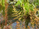 DSCN9545.JPG