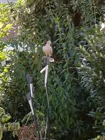 20190915_163453.webp 20190915_163453.webp