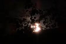 Der Mond ist aufgegangen_0001.webp