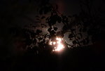 Der Mond ist aufgegangen_0001.JPG