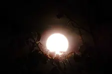 Der Mond ist aufgegangen_0002.JPG