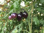 IMG_3254.JPG