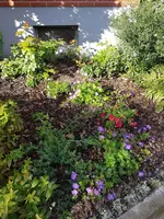 20190913_093452_resized.jpg