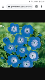 Screenshot_20190912-134041_Chrome.jpg