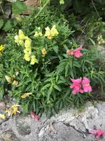 IMG_8544.JPG