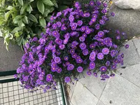 IMG_8543.webp