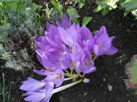 IMG_6853.webp