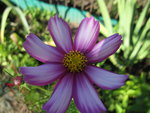 IMG_6854.JPG