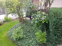 20190916_071823_resized.jpg