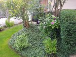 20190916_071823_resized.jpg