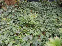20190916_071831_resized.jpg