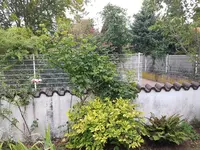 20190916_071841_resized.jpg