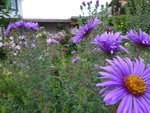 DSC00645.JPG
