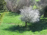 IMG_6707 v (2).webp