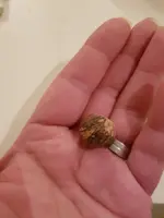 20190917_225446.jpg 20190917_225446.jpg