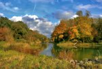 Donauauen.jpg