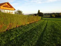 DSC00654.JPG
