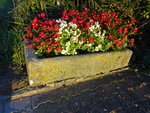DSC00655.JPG