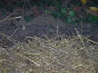 BILD3170.JPG