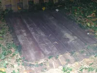 BILD3173.JPG