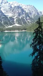 20180801_111901.webp