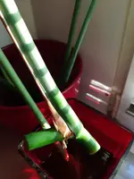 20190918_190043.webp