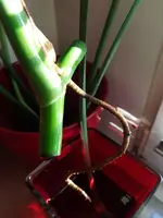20190918_190102.webp