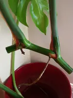 20190918_190130.webp