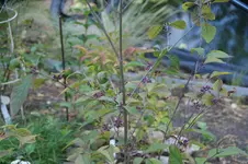 DSC08328.webp
