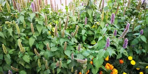 Thomas_IMG_20190917_174027.webp