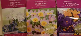 20190918_220957.webp 20190918_220957.webp