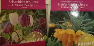 20190918_220851.webp 20190918_220851.webp