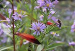 image004.jpg