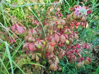 DSCF2868 (2).webp