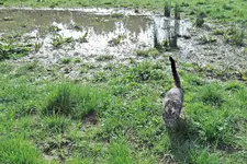 IMG_6899 v (2).webp