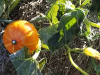 DSCF2896.webp