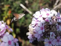 DSCF2882.webp