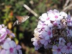 DSCF2882.JPG