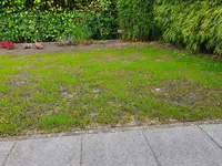 20190920_143147.webp 20190920_143147.webp