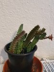 20190920_182206.jpg