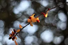 image007.webp