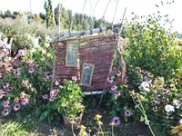 DSCF2903.JPG