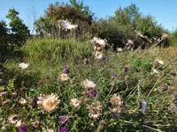 DSCF2874.JPG