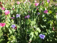 DSCF2889.webp