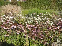 DSCF2908.webp