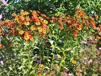 DSCF2918.webp