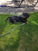 20190921_132139.webp