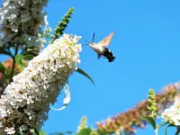 DSCF2935 (2).webp