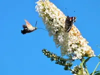 DSCF2942 (2).webp