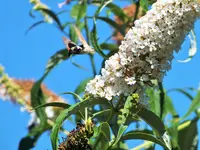 DSCF2936 (2).webp